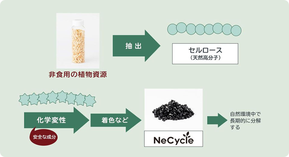 セルロースバイオ素材プロセス